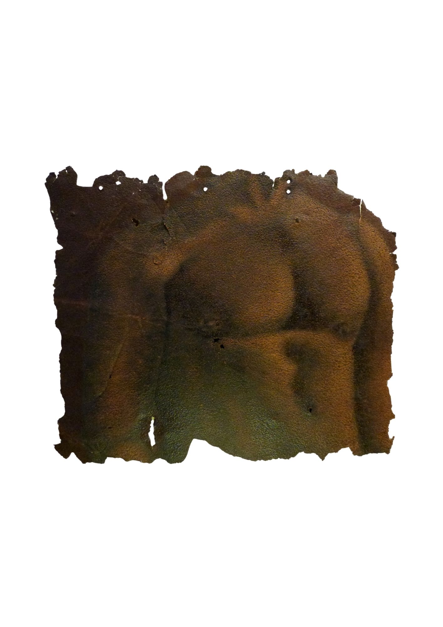 Fragment 4, d'après Ingres, Virgile , buste - huile sur tôle - 50 x 59 cm