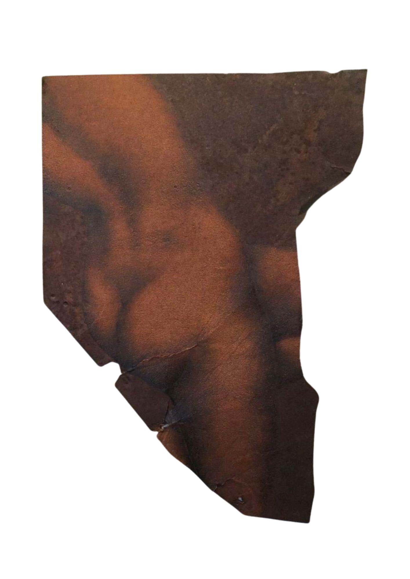 4.Archeologie de la memoire, Fragment 4 - huile sur tôle - 66 x 46 cm