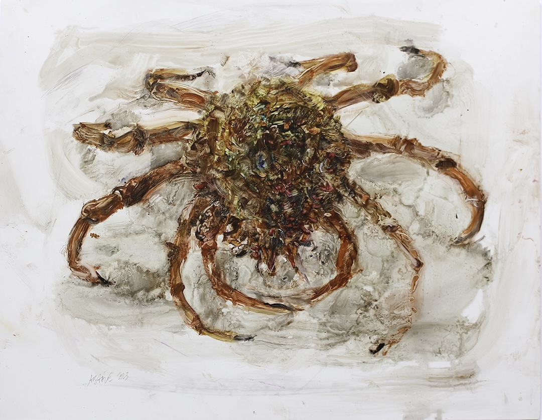 Araignée de mer 2 - 2023 - huile sur papier polyester - 46 x 61 cm
