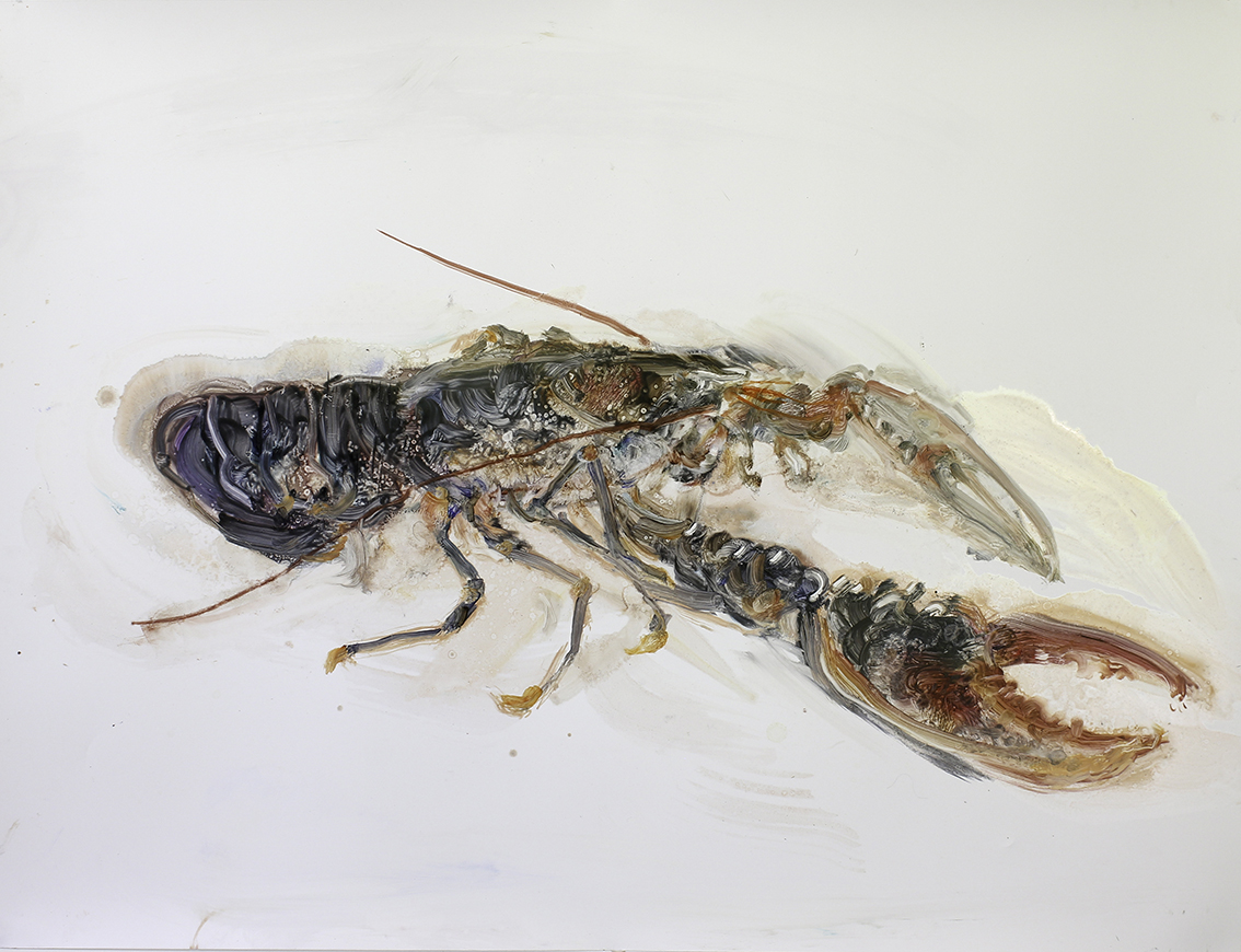 Grand homard 4 - huile sur papier polyester - 70 x 92 cm - 2023