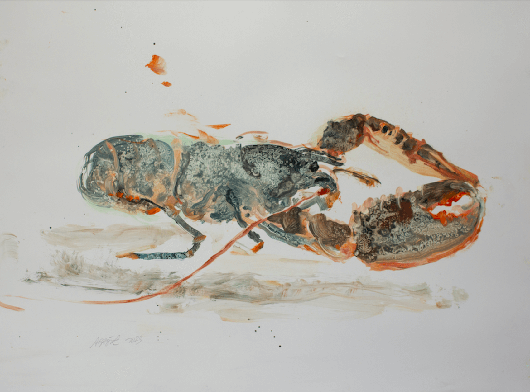 Homard 14 - 2023 - huile sur papier polyester - 46 x 61 cm