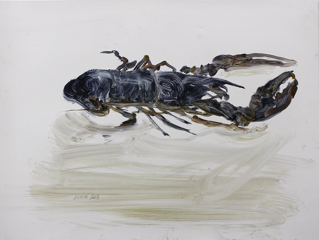 Homard 4 - 2023 - huile sur papier polyester - 46 x 61 cm