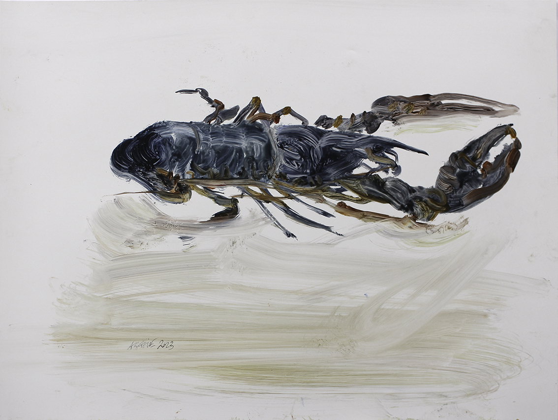 Homard 4 - huile sur papier polyester - 46 x 92 cm - 2023