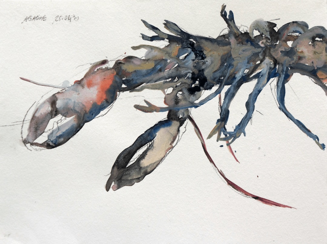 Homard retournée - 2020 - aquarelle et crayon sur papier - 30 × 40 cm