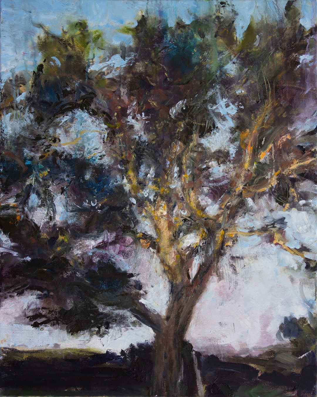 Noyer, dernier soleil - 2019 - huile sur toile - 81 × 65 cm