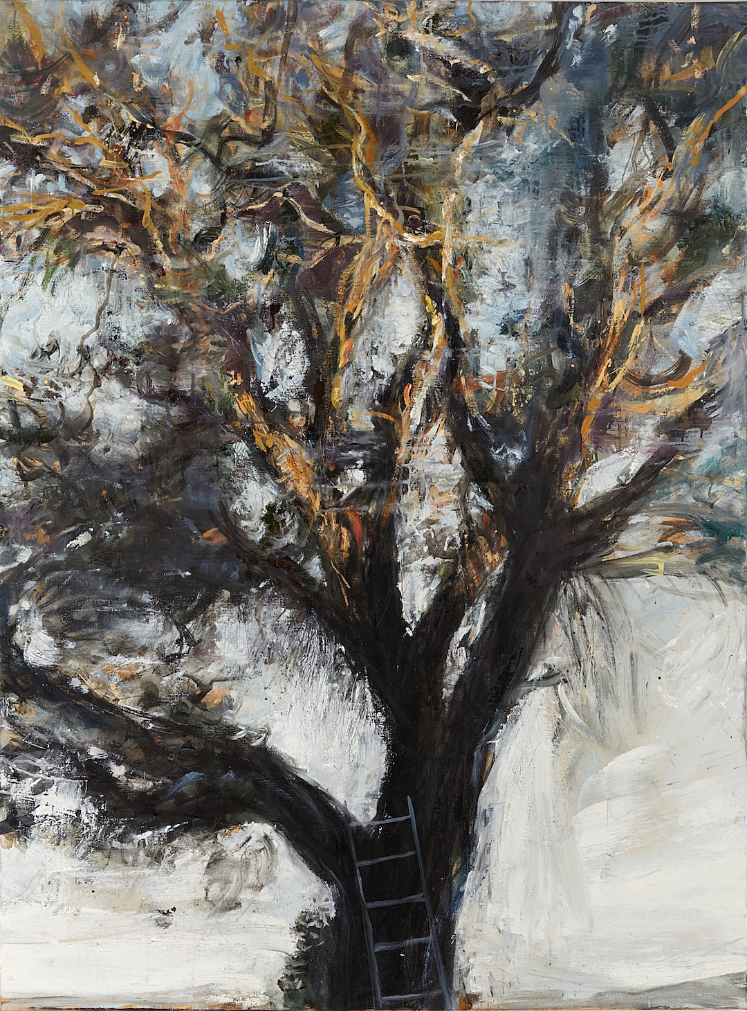 Noyer, soleil couchant - 2018 - huile sur toile - 130 × 97 cm