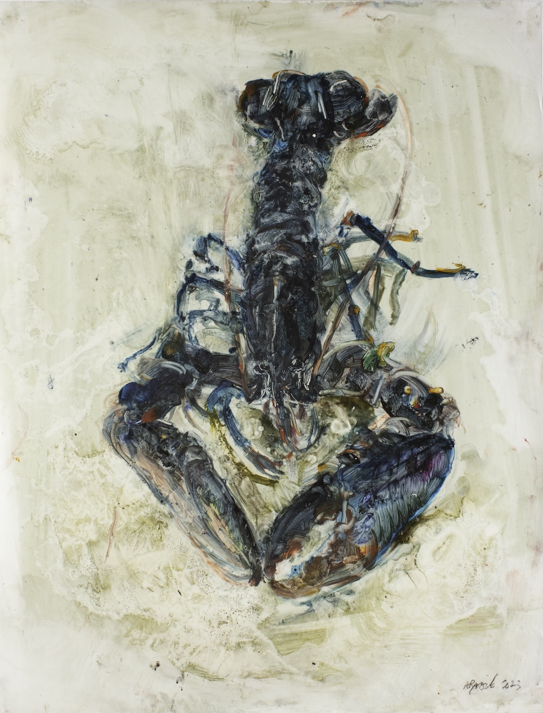 Homard 12 - 2023 - huile sur calque polyester - 61 x 46 cm