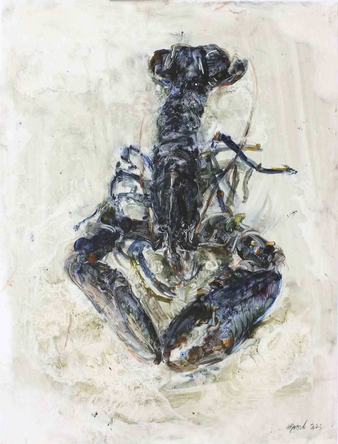 homard 12, 61 x 46 cm, huile sur calque polyester, 2023