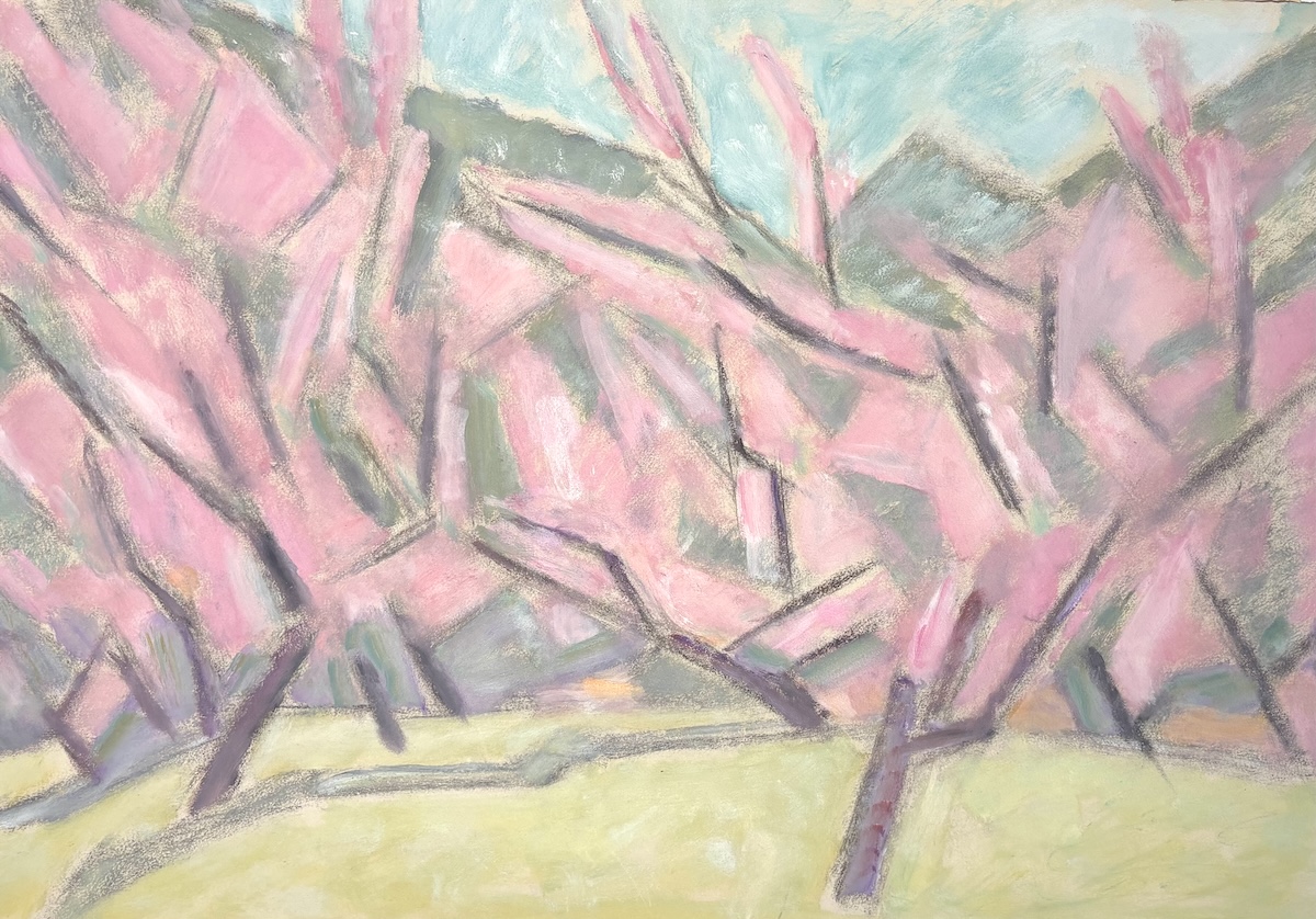 Amandiers en fleurs - code 1242 - ca 2000 - huile sur papier - 42 x 59, 5 cm
