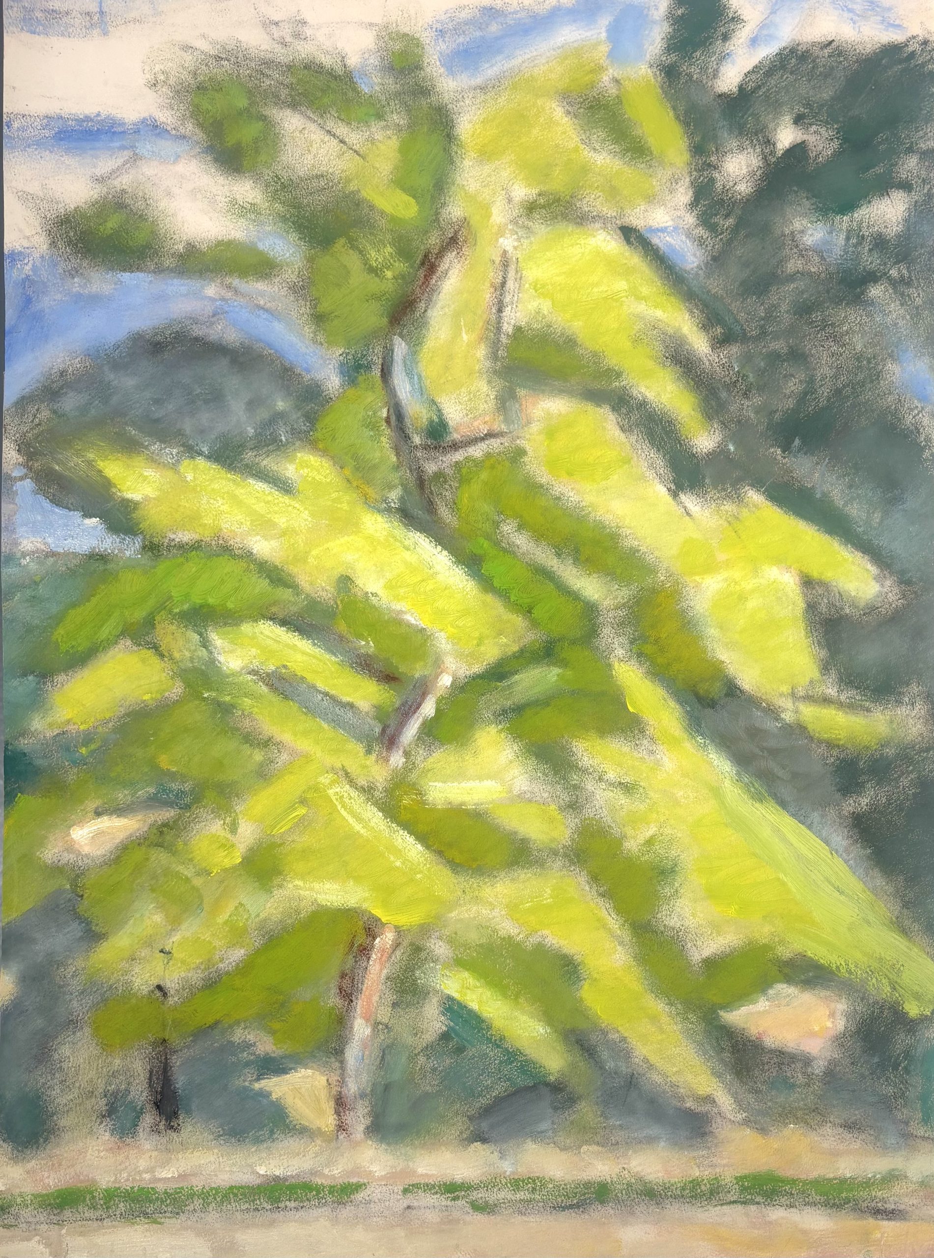 Noyer - code 1258 - 2000 - huile sur papier - 60,5 x 44 cm