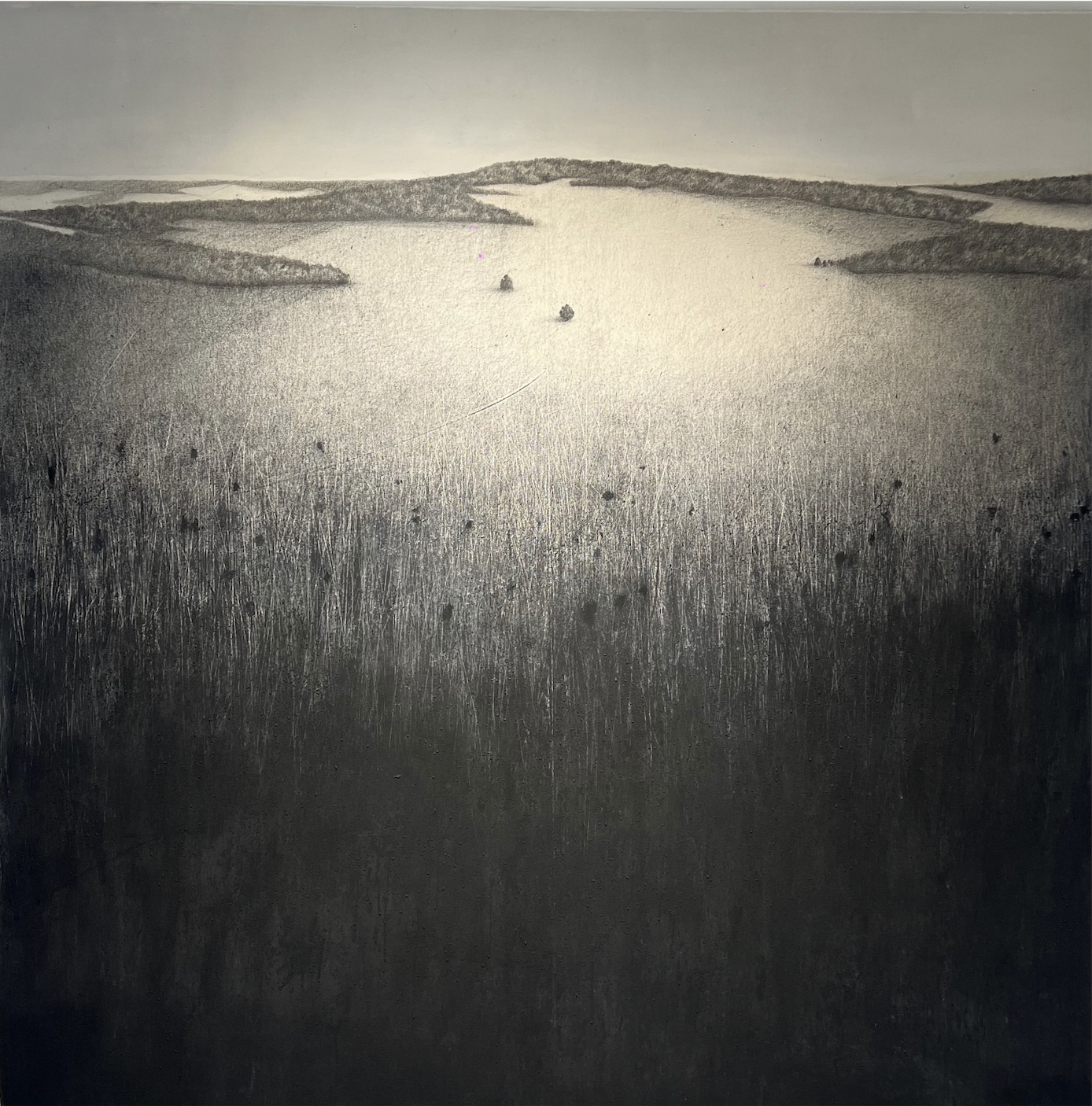 LE BOIS DES VEUVES - Mine de plomb, fusain et acrylique sur toile - 200 x 200 cm - 2022