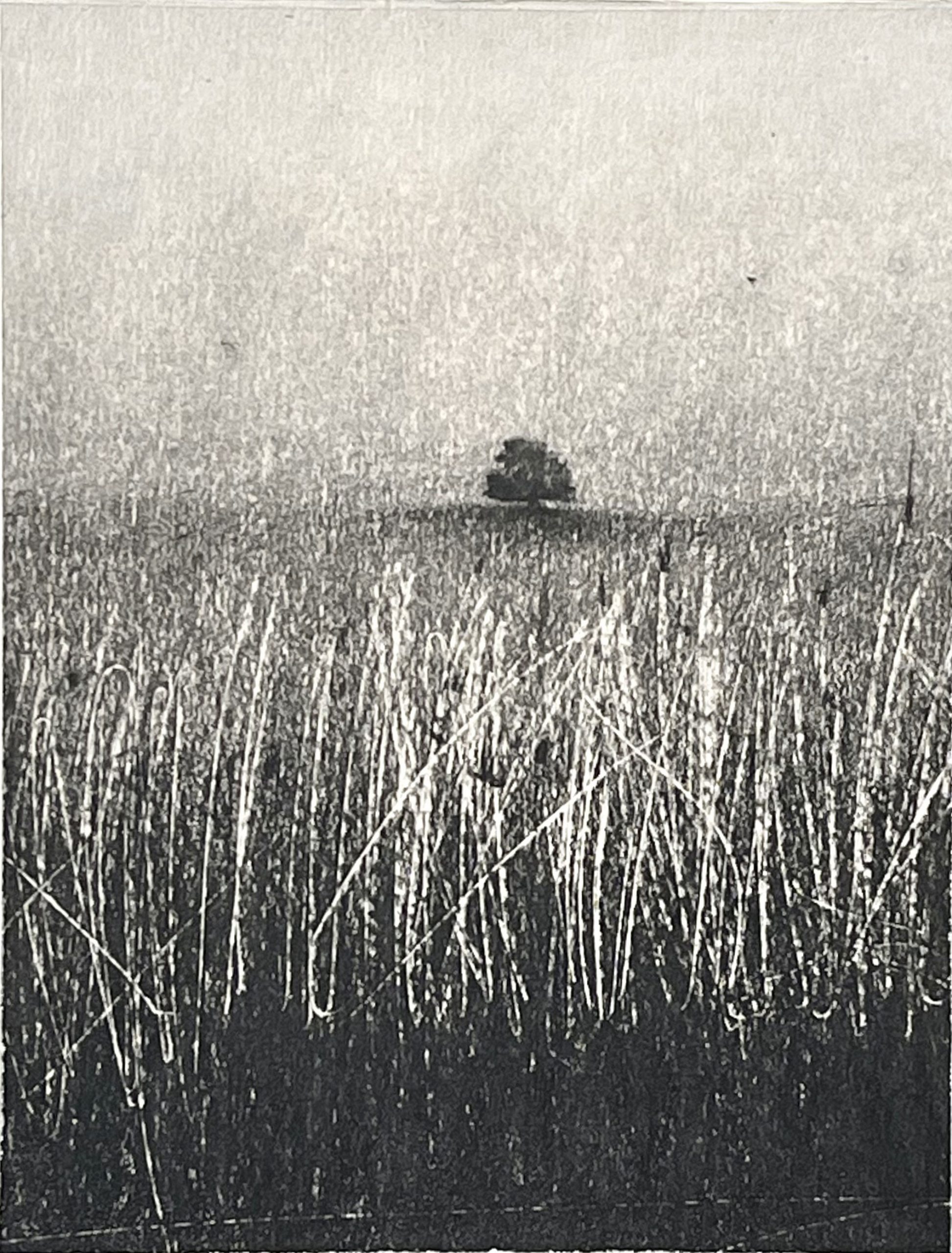 LE SOLITAIRE III - 22 x 16 cm - mine de plomb sur papier marouflé - 2022