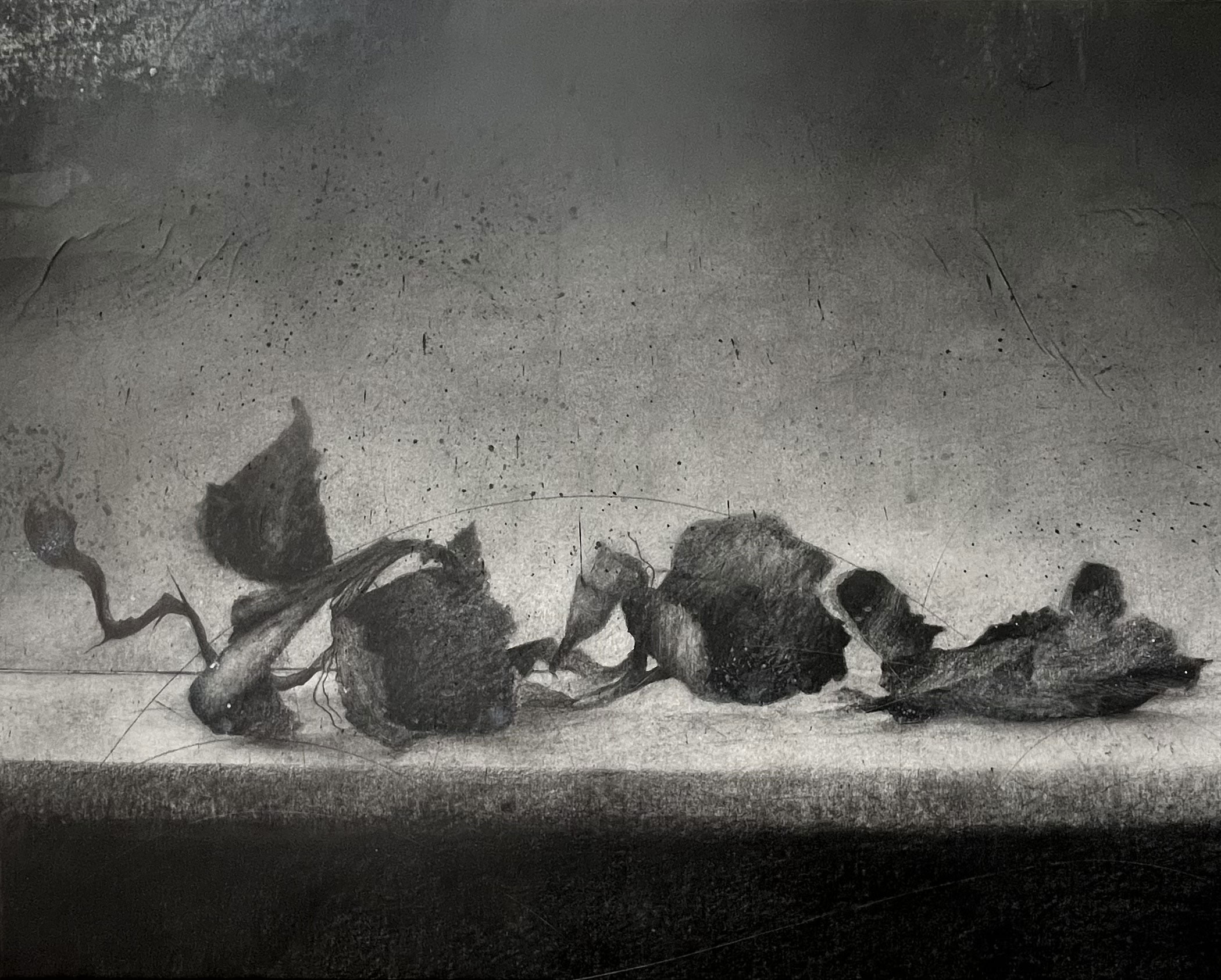 NATURE MORTE I - 92 x 73 cm - Mine de plomb sur papier marouflé sur toile