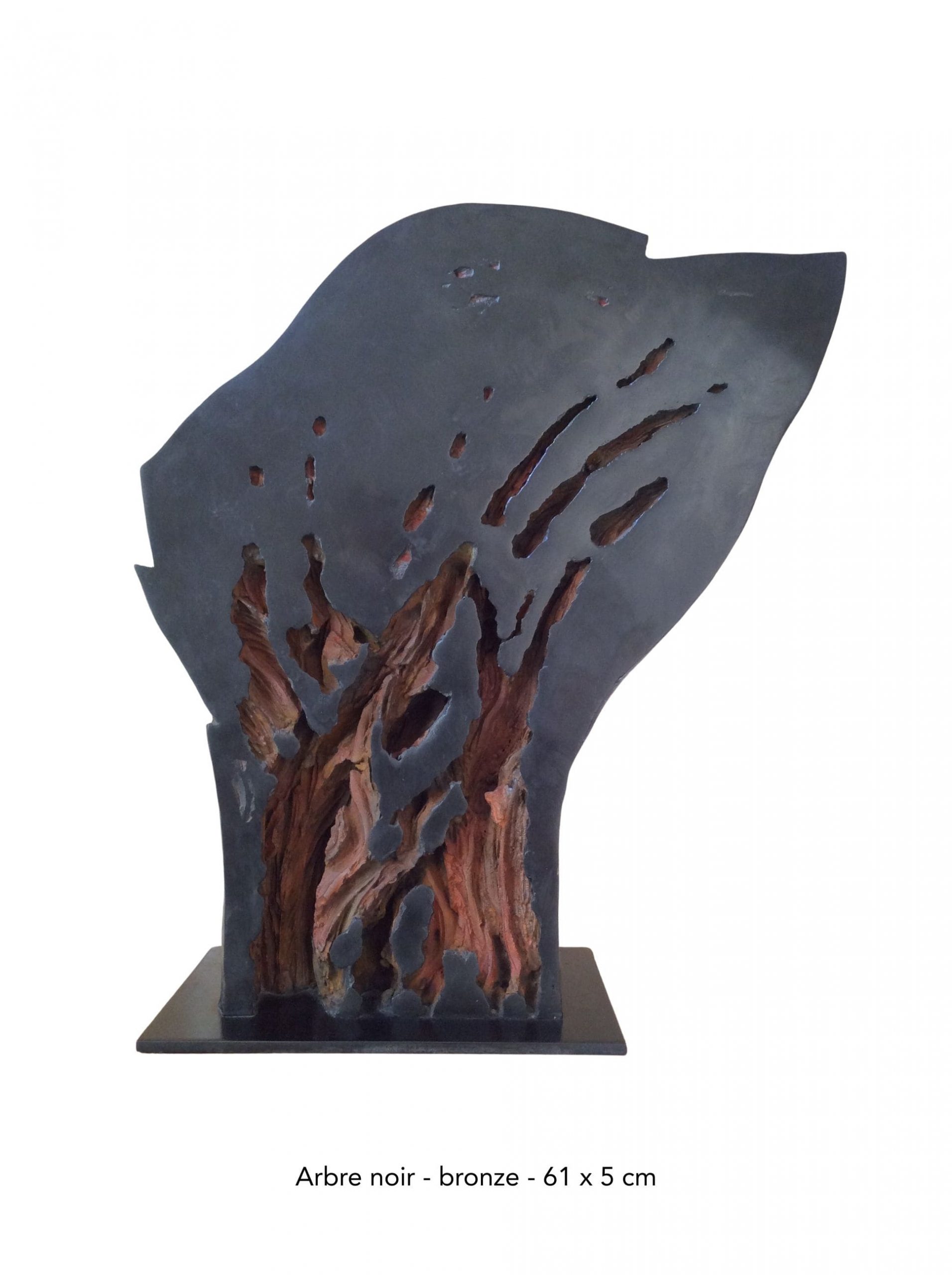 Arbre noir - bronze - édition de 8 + 4 EA - 61 x 50 cm